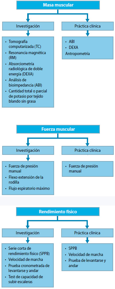 Figura 4. Técnicas de medición de la masa, fuerza y función muscular en investigación y en la práctica clínica(3)