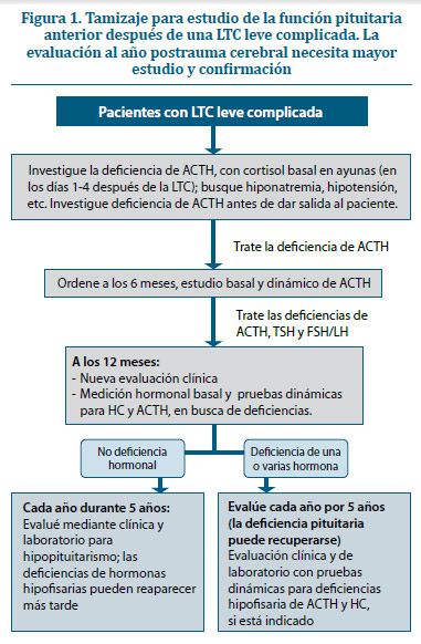 Figura 1. Tamizaje para estudio de la función pituitaria