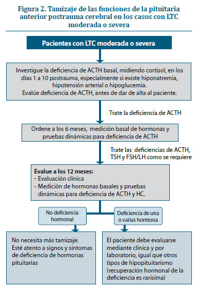 Figura 2. Tamizaje de las funciones de la pituitaria anterior postrauma cerebral en los casos con LTC moderada o severa