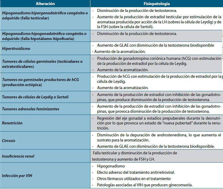 Principales mecanismos fisiopatológicos de la ginecomastia