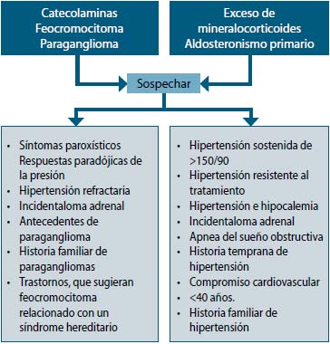 Figura 1. Manifestaciones que hacen sospechar feocro- mocitoma o hiperaldosteronismo primario que deben sugerir investigación de la entidad