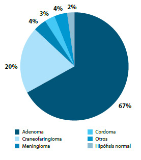 Figura 1. Distribución general del tipo de lesión