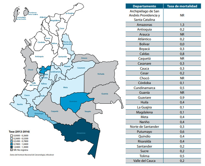 Figura 1. Tasa bruta de mortalidad por cáncer de próstata en hombres entre 0 y más de 80 años de edad,