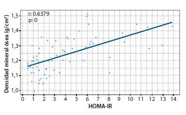 Figura 6. Densidad mineral ósea comparada con HOMA-IR