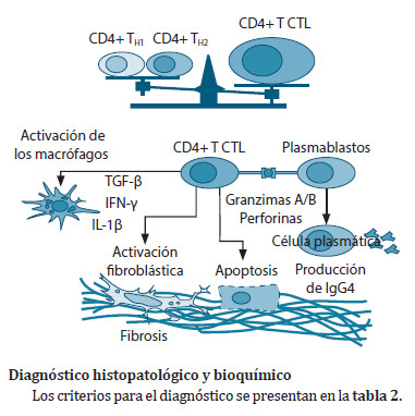 Figura 3. Mecanismo patológico de la enfermedad
