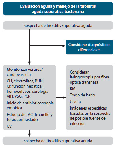 Figura 5. Evaluación aguda y manejo de la tiroiditis
