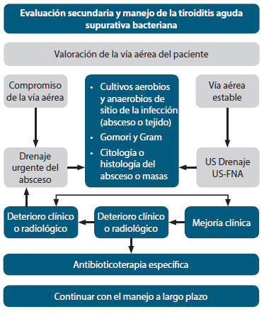 Figura 6. Evaluación secundaria y manejo de tiroiditis