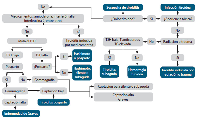 Figura 8. Enfoque de la tiroiditis