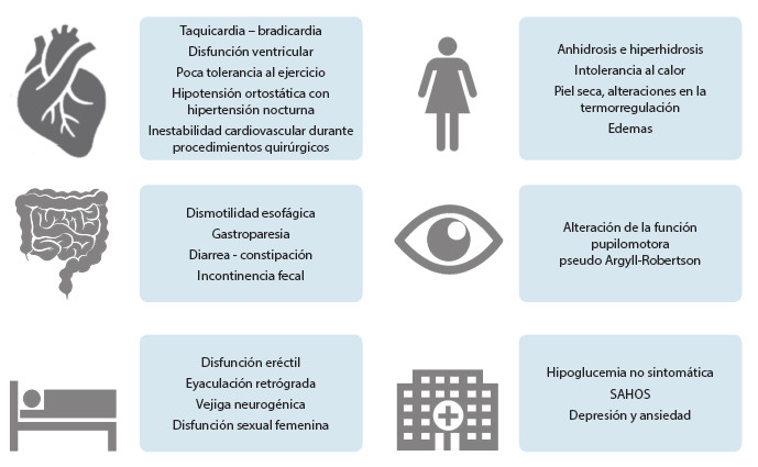 Figura 2. Manifestaciones de la neuropatía autonómica diabética.