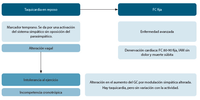 Figura 3. Manifestaciones cardiovasculares de la neuropatía autonómica diabética.