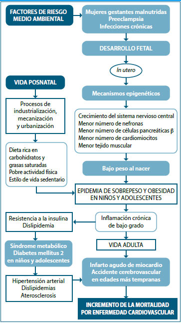 Figura 1. Mecanismos biológicos y ambientales asociados