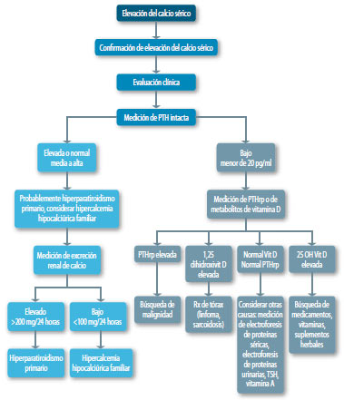 Enfoque de la hipercalcemia